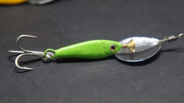 Isca Spinner Deep Spinn - Image 2