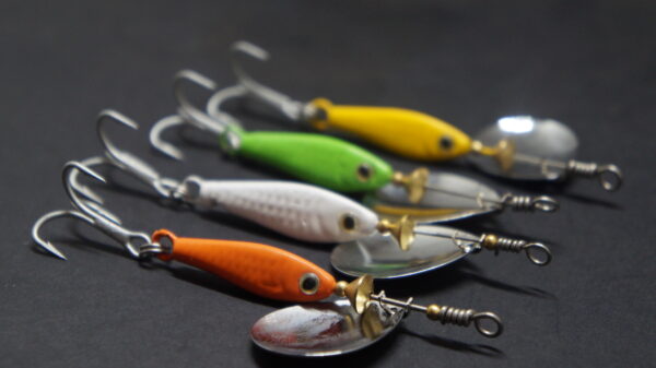 Isca Spinner Deep Spinn